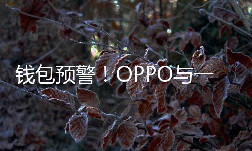 部分涨价日起官宣预警O与一加3月手机钱包