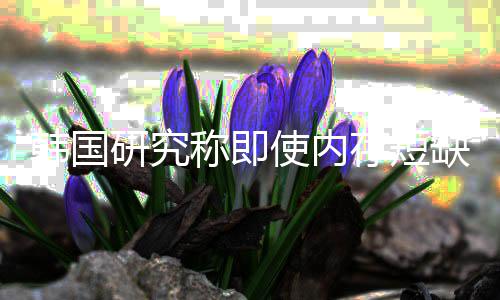 韩国会下内存称即存短解 价格降研究也不使内缺缓