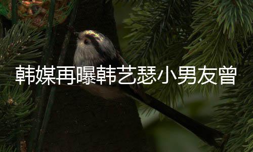 么和韩媒韩艺 韩再曝曾当男友牛郎经纪解约为什公司艺瑟瑟小
