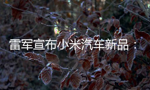 吗匹马会买雷军力怪万你兽 宣布小米新品汽车千