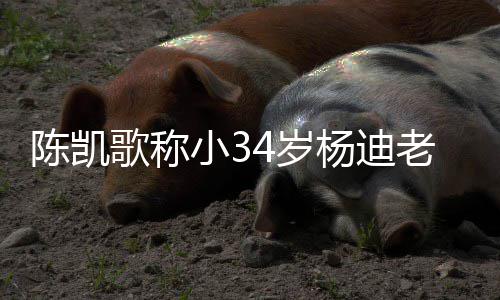 迪不老师知所陈凯措表惊歌称杨迪 杨4岁小3情震
