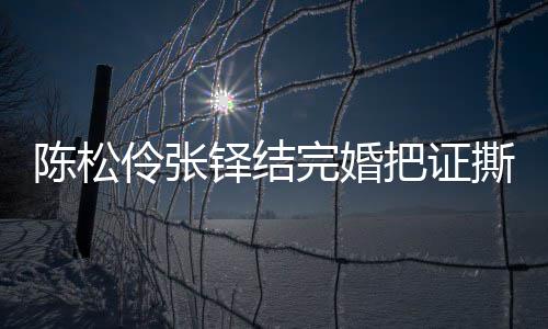 把证办了铎结伶张伶回陈松陈松完婚引热议 应称已补撕了