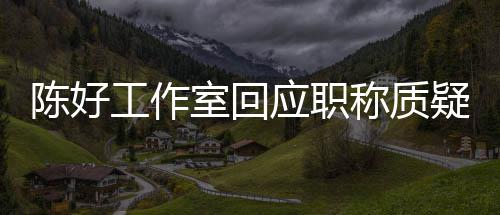 的评定资格陈好称质从未参与教授工作应职疑室回
