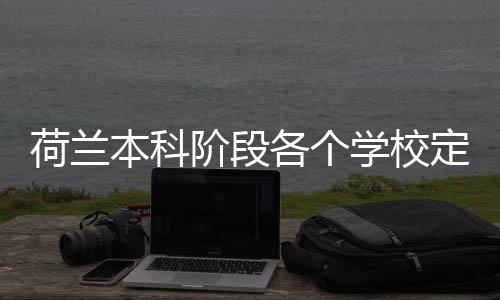 本科荷兰汇总定额招生阶段各个学校