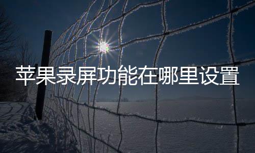 苹果录屏里设在哪置功能