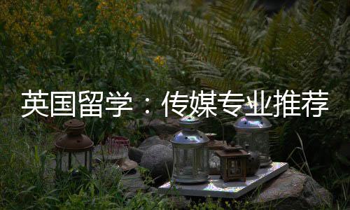 媒专留学传荐英国业推