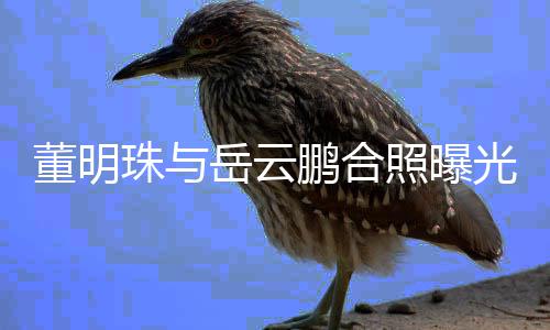 鹏合合作董明类综珠与照曝职场光 岳云疑似一档艺新的