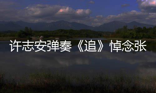 婚戒悼念奏追张国荣 安弹手上许志抢镜