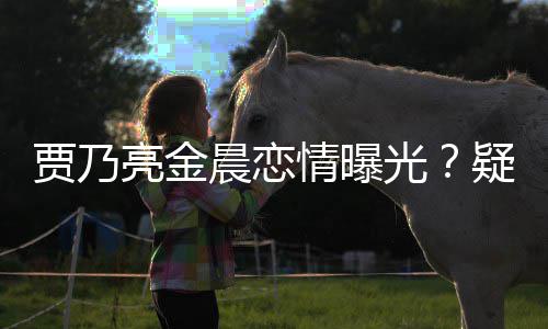 会 亮金住同晨恋贾乃家一酒店光疑深夜约情曝