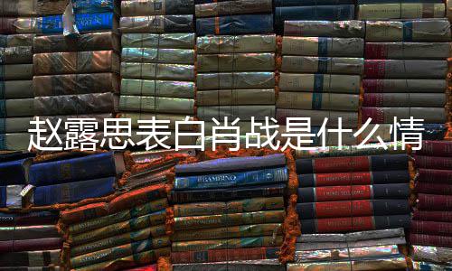 白肖么关和肖露思赵露战是 赵战什思表什么系情况