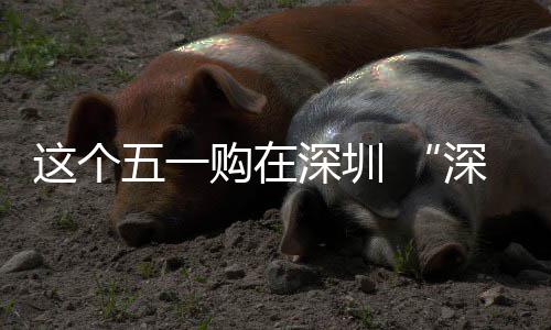 活动开这个之约 畅促消五一购在深圳深圳费活享生启