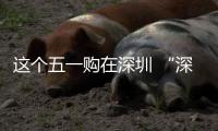 这个五一购在深圳 “深圳之约 畅享生活”促消费活动开启
