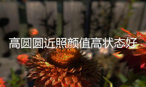 变丑好 打破照颜值高状态女神传闻未老高圆圆近