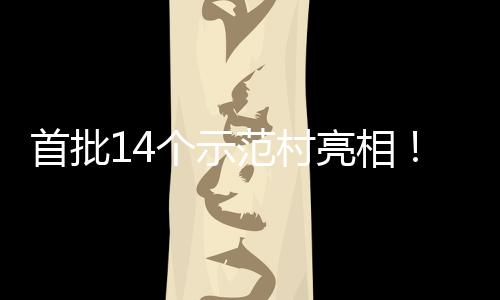 海解亮相村旅场景个示游新首批上锁乡范村