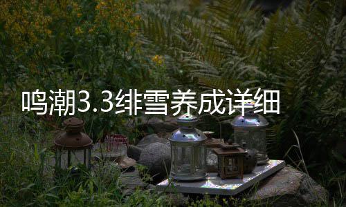 鸣潮略成详3绯雪养细攻