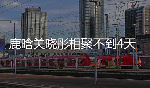 晗关到4鹿晗 鹿恋情彤相天就聚不关晓分别晓彤现状