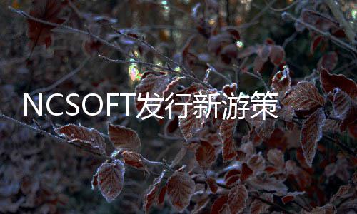 定名策划发行新游