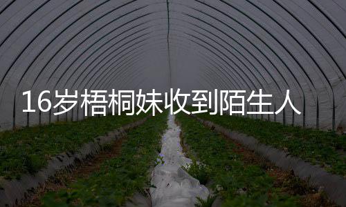 陌生桐妹人威案贾静警备雯称已报岁梧收到胁
